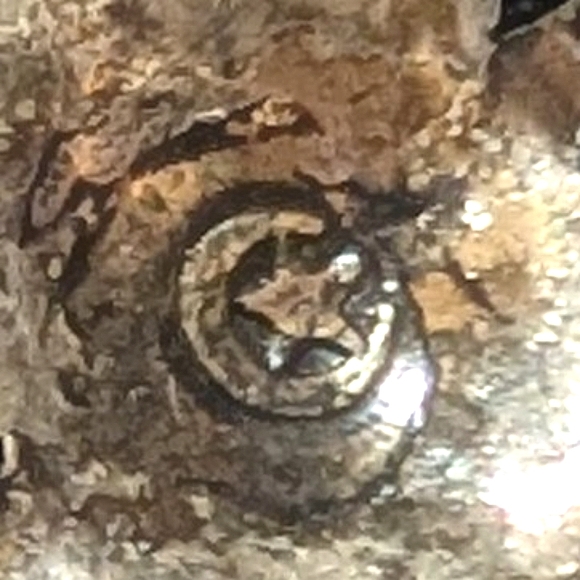 1950s Gladiator Crescent Moon Hallmarked Bracelet - Picture 5 of 7